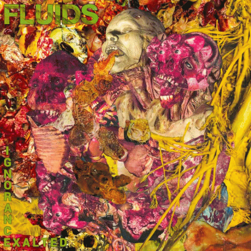 Fluids : Ignorance Exalted